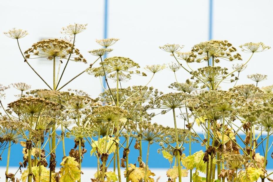    Сергей Петров/NEWS.ru