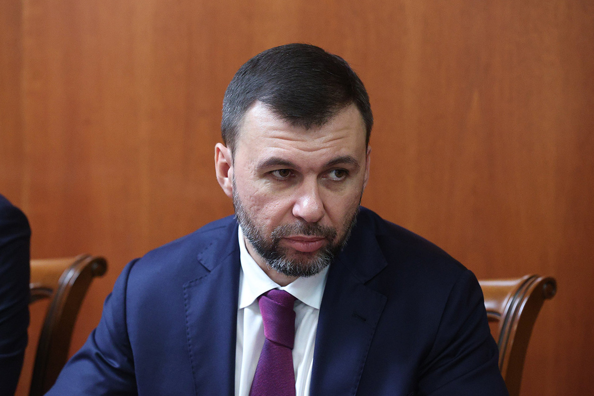 Пушилин встретился с Путиным.  Фото: Фото: пресс-служба Совета Федерации Федерального Собрания РФ / council.gov.ru