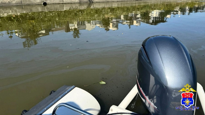 Фото: управление на транспорте МВД РФ по СЗФО