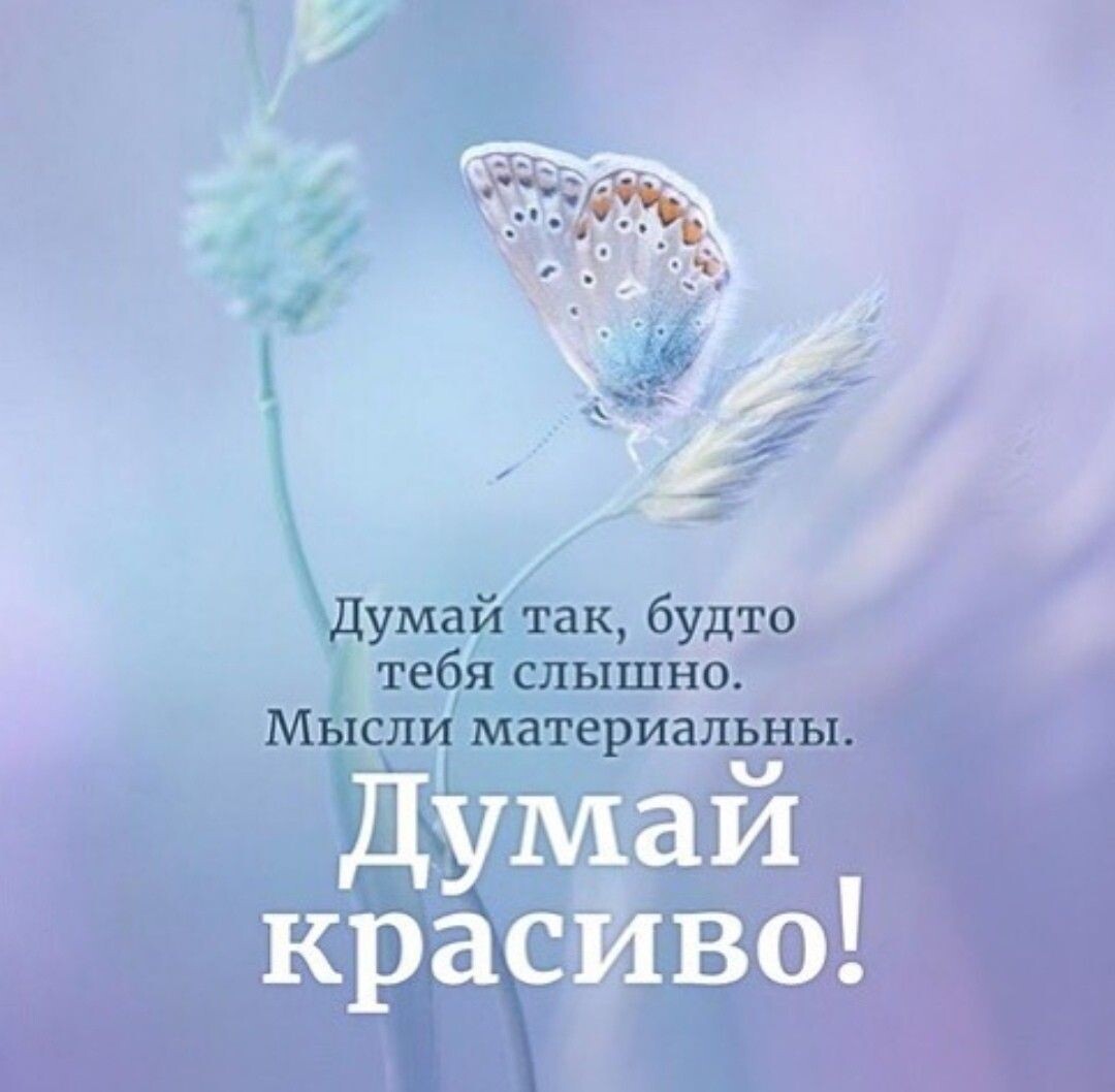 Из общедоступных источников 