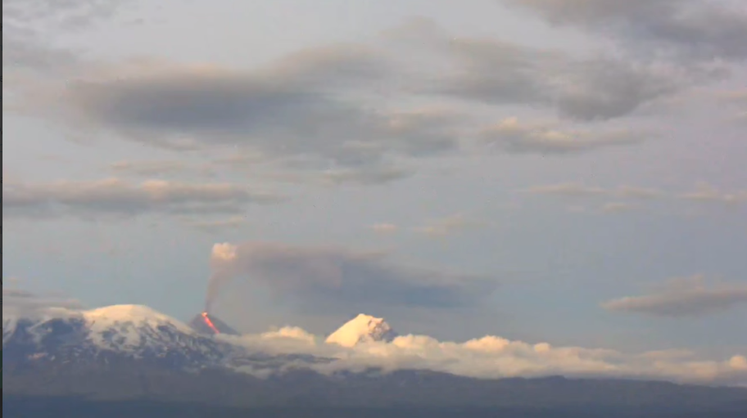    Камчатский филиал ФИЦ ЕГС РАН