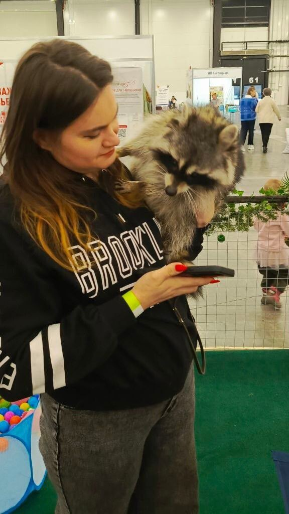 Хозяйка Оксана Рослова с енотом Василисой