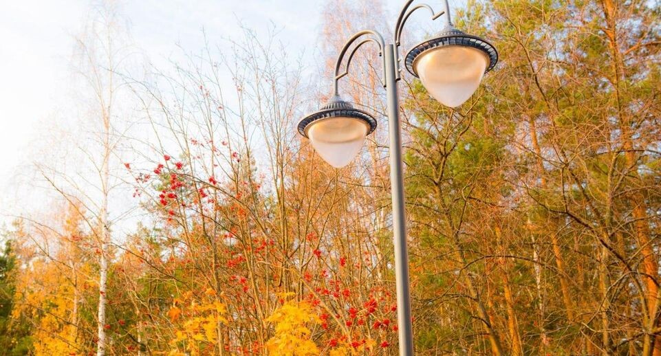    Министерство благоустройства Московской области