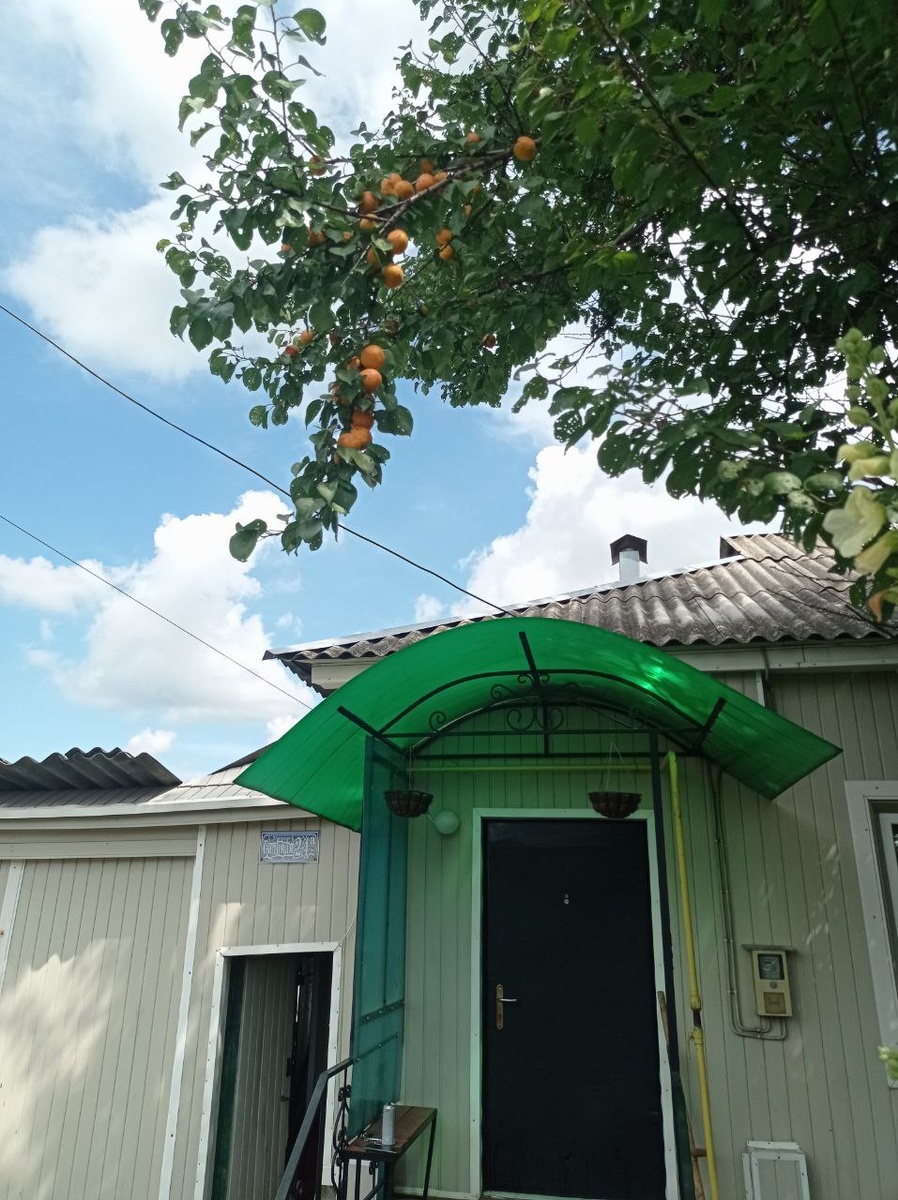 Бабушкин дом. Приветливо машет нам абрикосовыми ветвями.