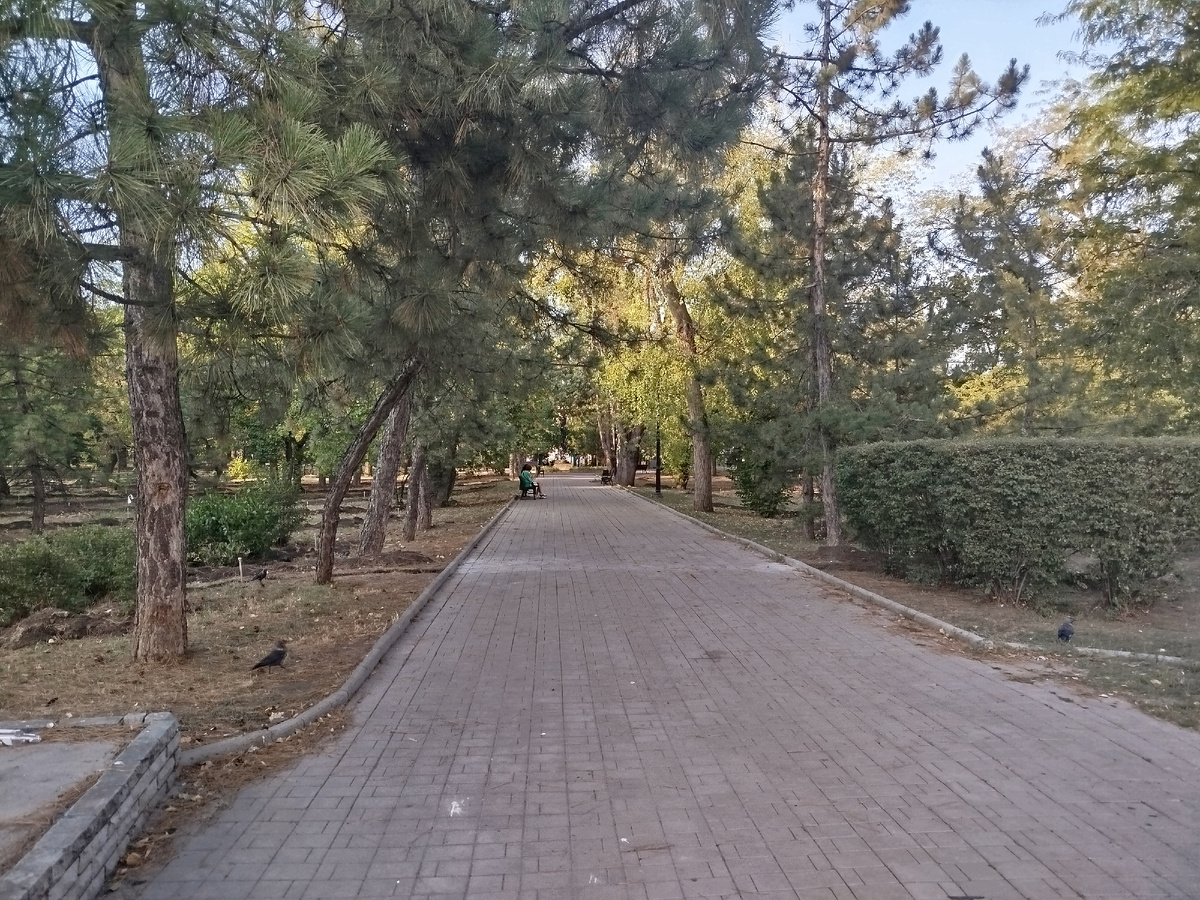 Вход в Парк Кованых Фигур со стороны перекрёстка улицы Университетская и проспекта Ватутина.