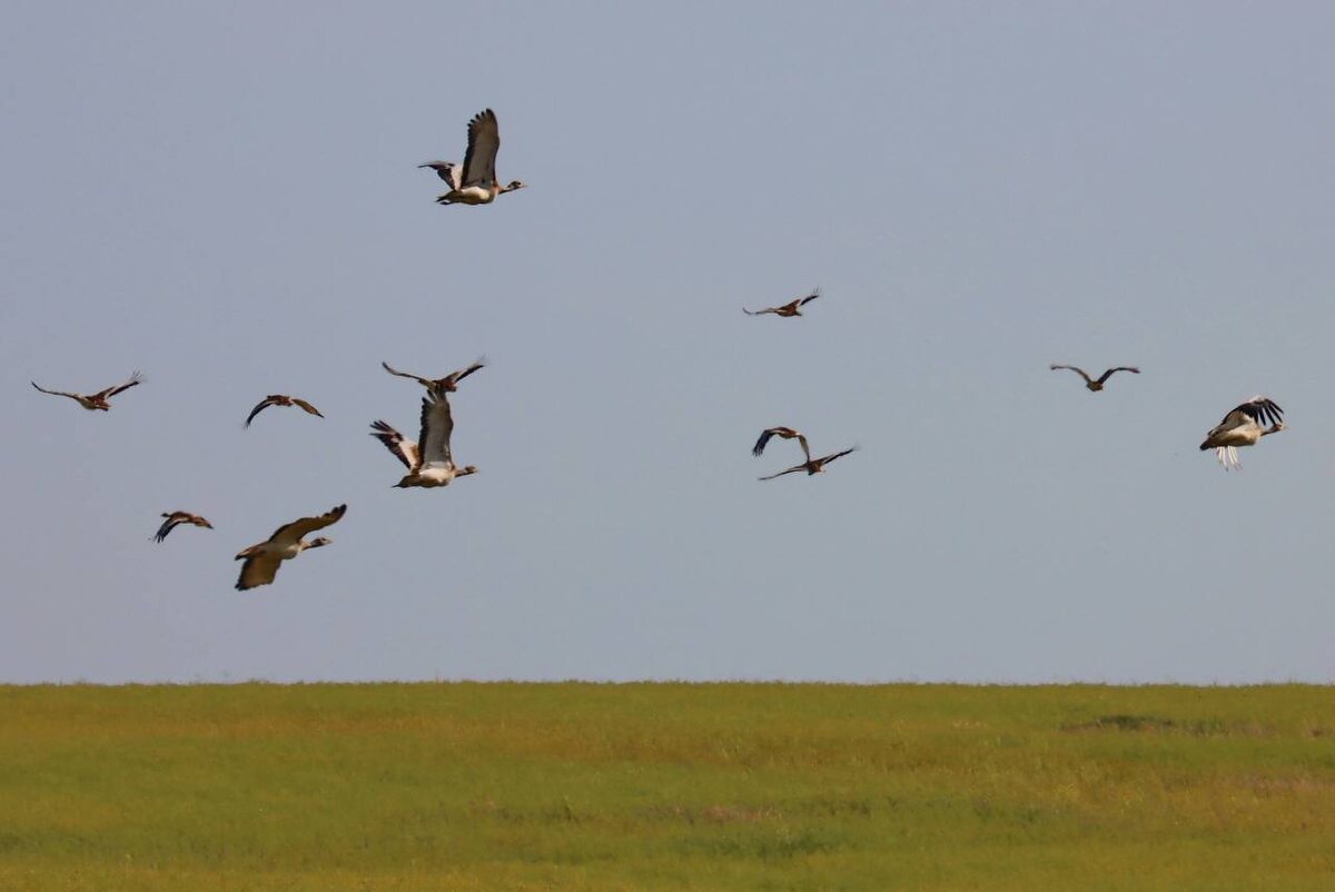 Фото: Григорий Прокопов 