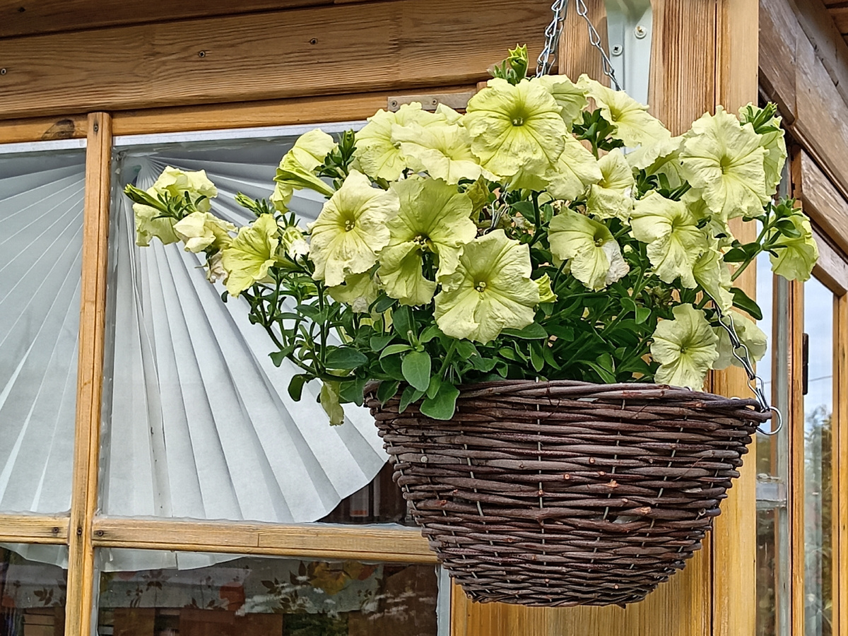 Фото автора.