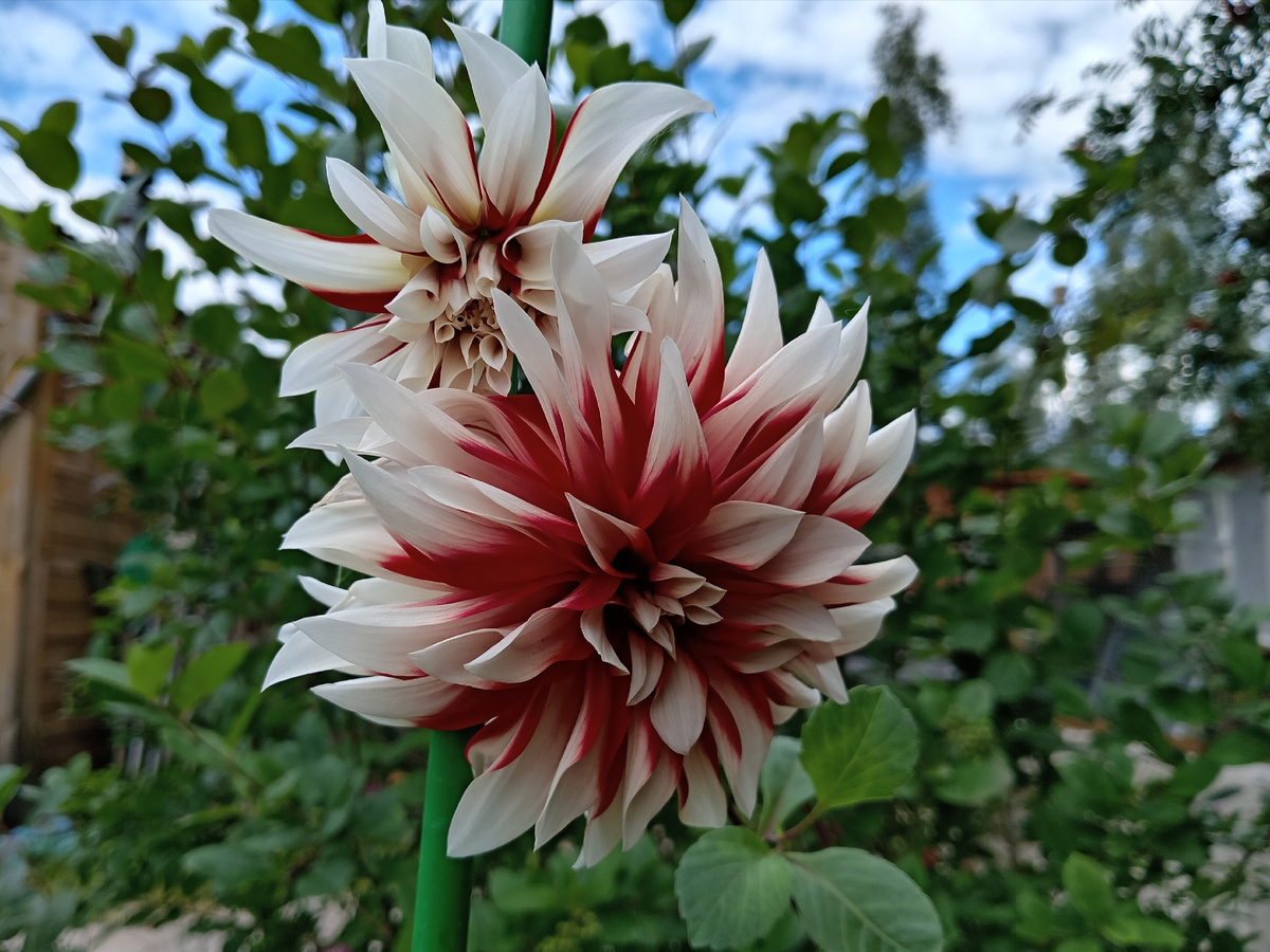 Фото автора.