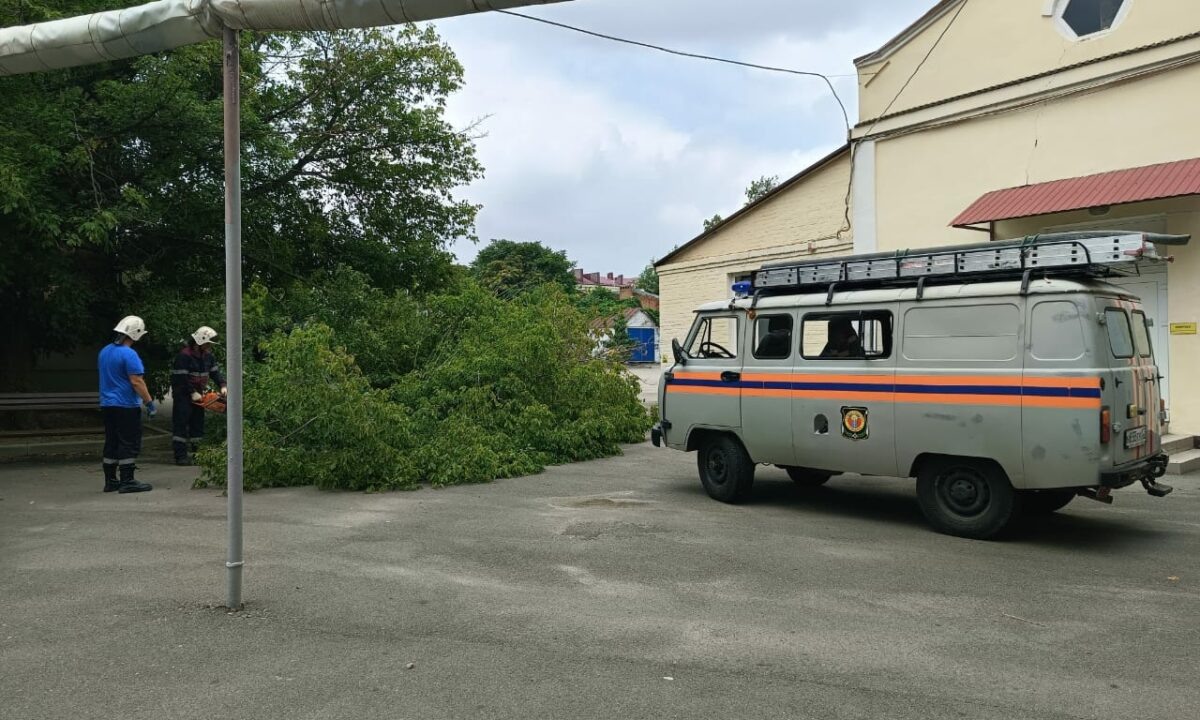    Фото gorodarmavir.ru