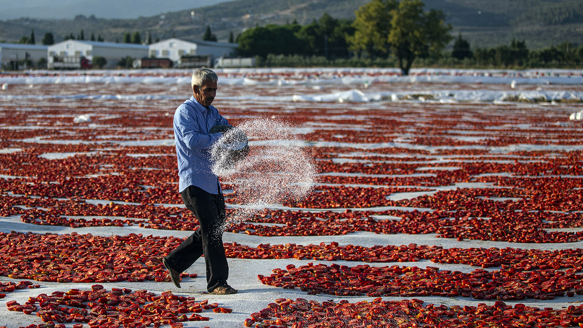   Erdem Sahin / EPA / TASS