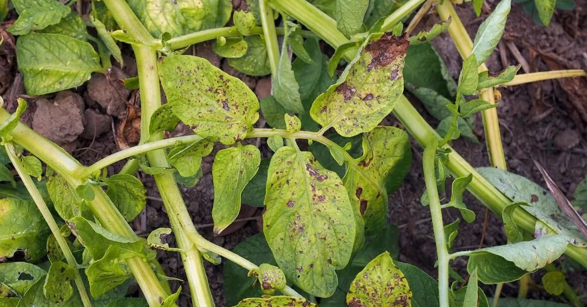 Лайк, это как объятие, только через экран👍👍👍👍👍