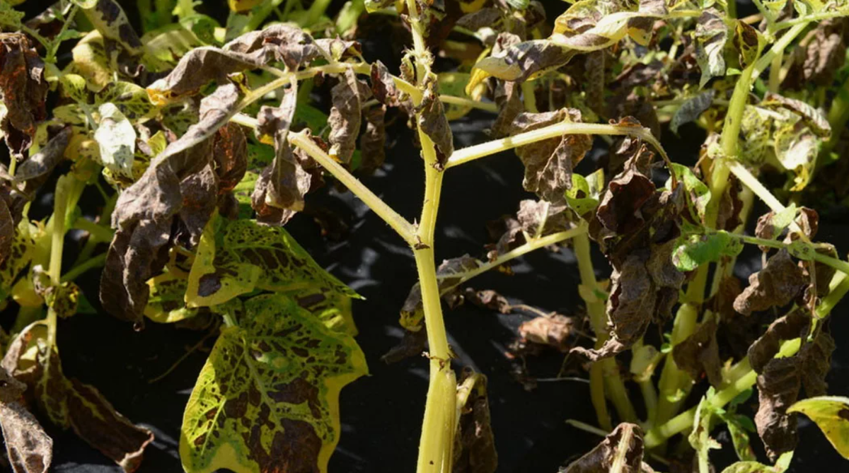 Нажимайте пальчик вверх в конце статьи👍👍👍👍👍