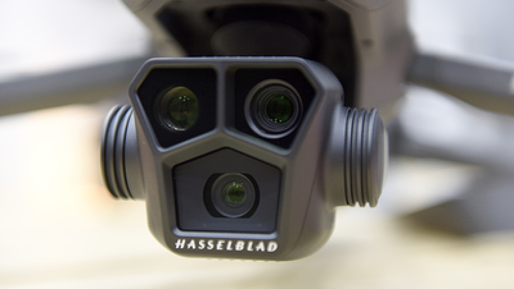    Cfoto/Globallookpress