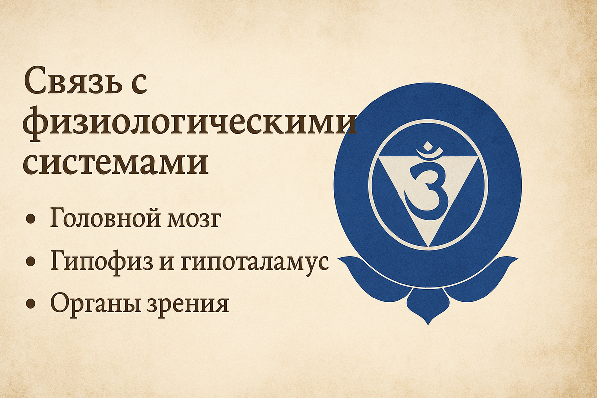 Связь с физиологическими системами