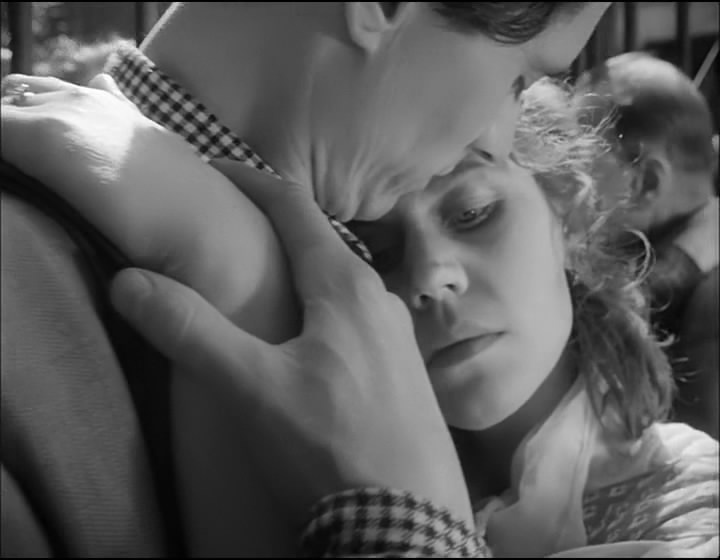 "Летят журавли"