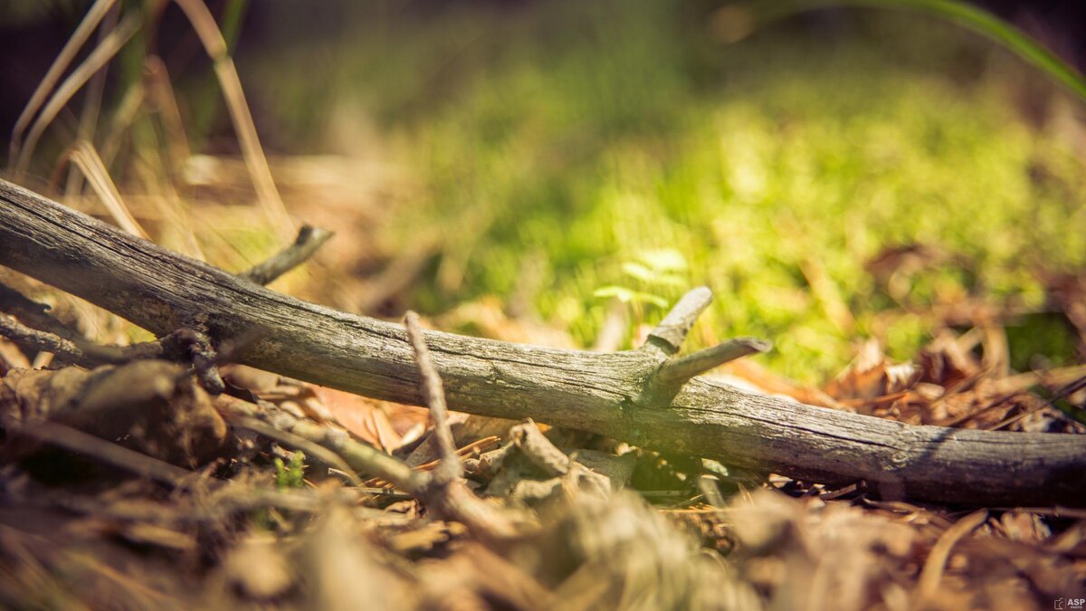 Источник https://static.78.ru/images/uploads/1712813861126.jpg