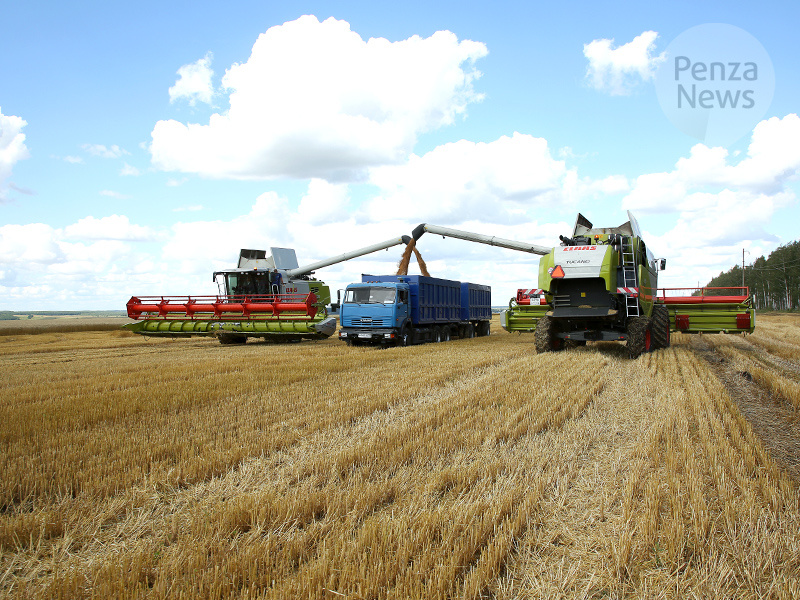    © Фото из архива ИА «PenzaNews»