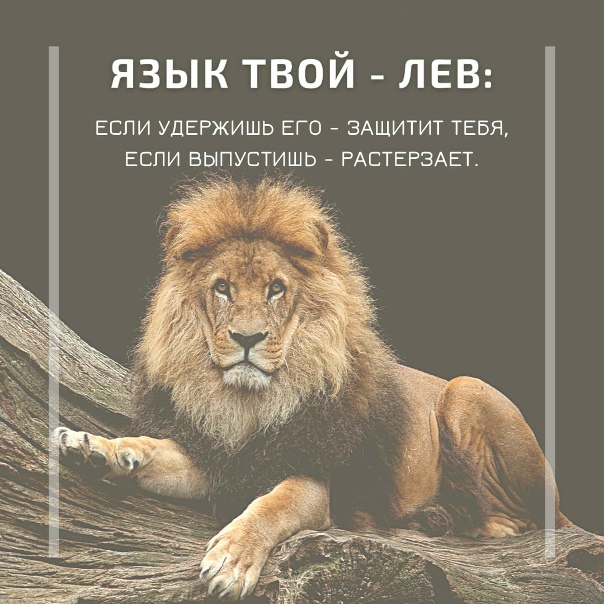 Картинка взята из общего и свободного доступа в интернет