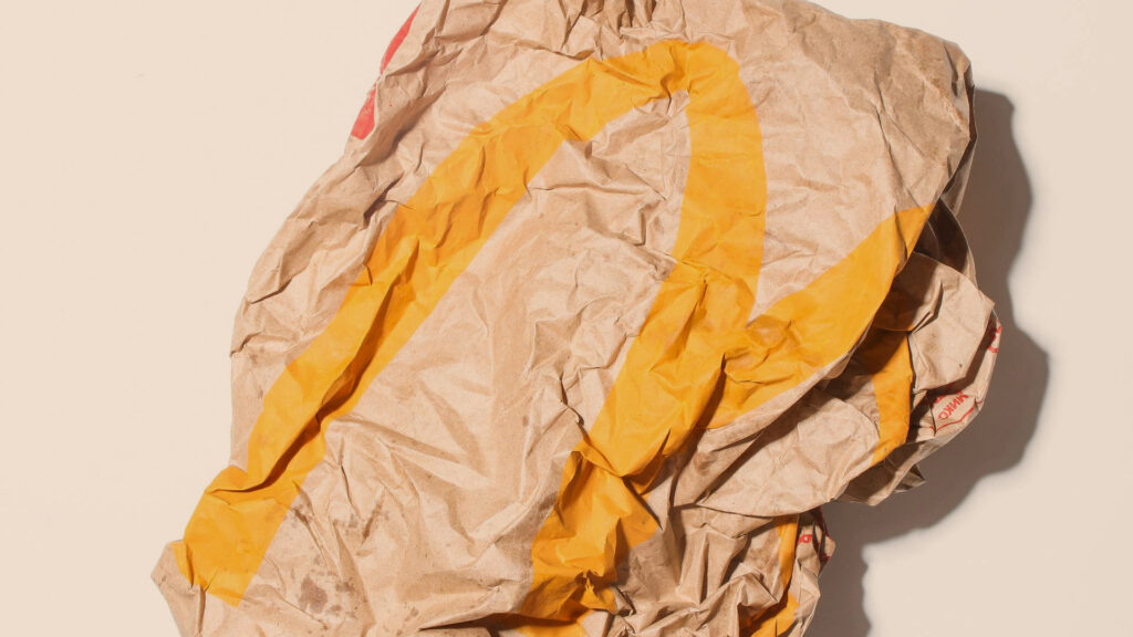    Носители фирменного стиля Тимофей Кузнецов