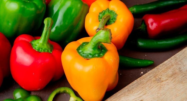    Фото: ФГБУ ЦОК АПК