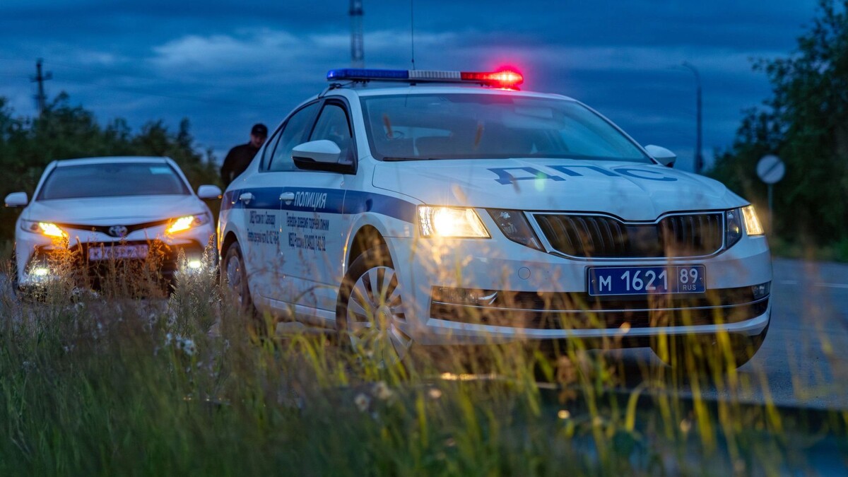    Фото: Федор Воронов / «Ямал-Медиа»