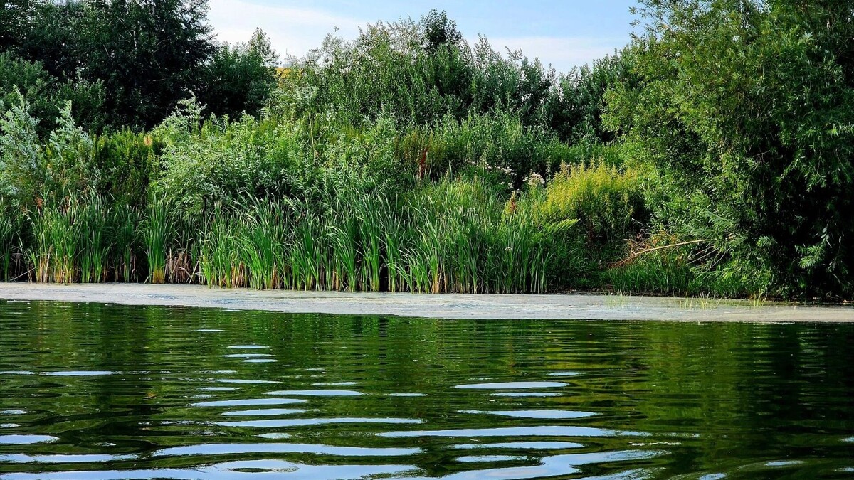     Источник: atas.info