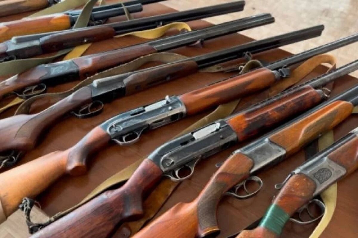    13 единиц оружия и 400 патронов изъяли псковские росгвардейцы за неделю