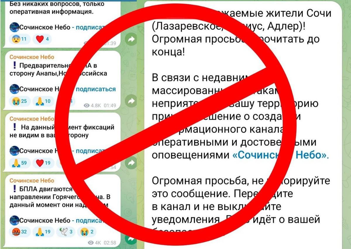    Фото: пресс-служба администрации города Сочи