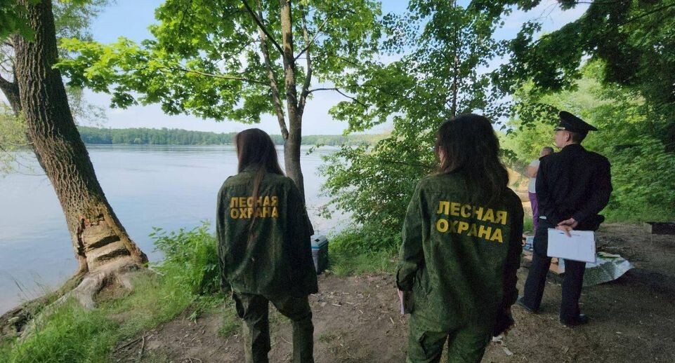    Комитет лесного хозяйства Московской области