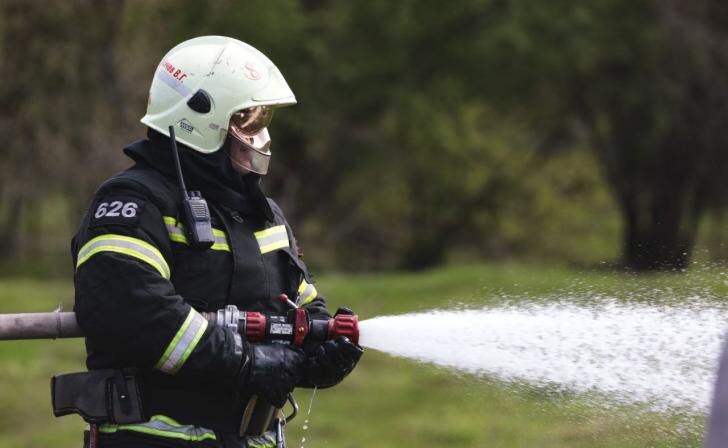    Юрий Еськов/Курские известия