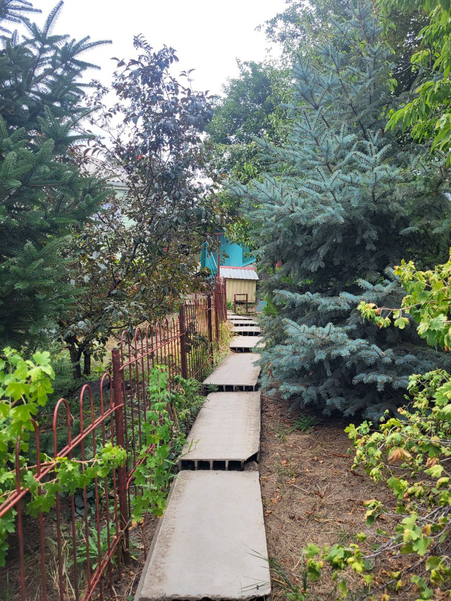 Прекрасная тропинка во дворе у друзей