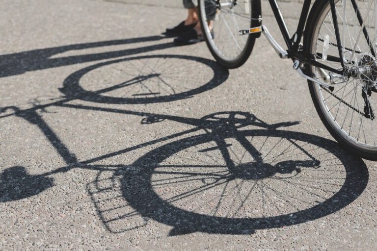    Фото: freepik.com/freepik Ольга Чистова