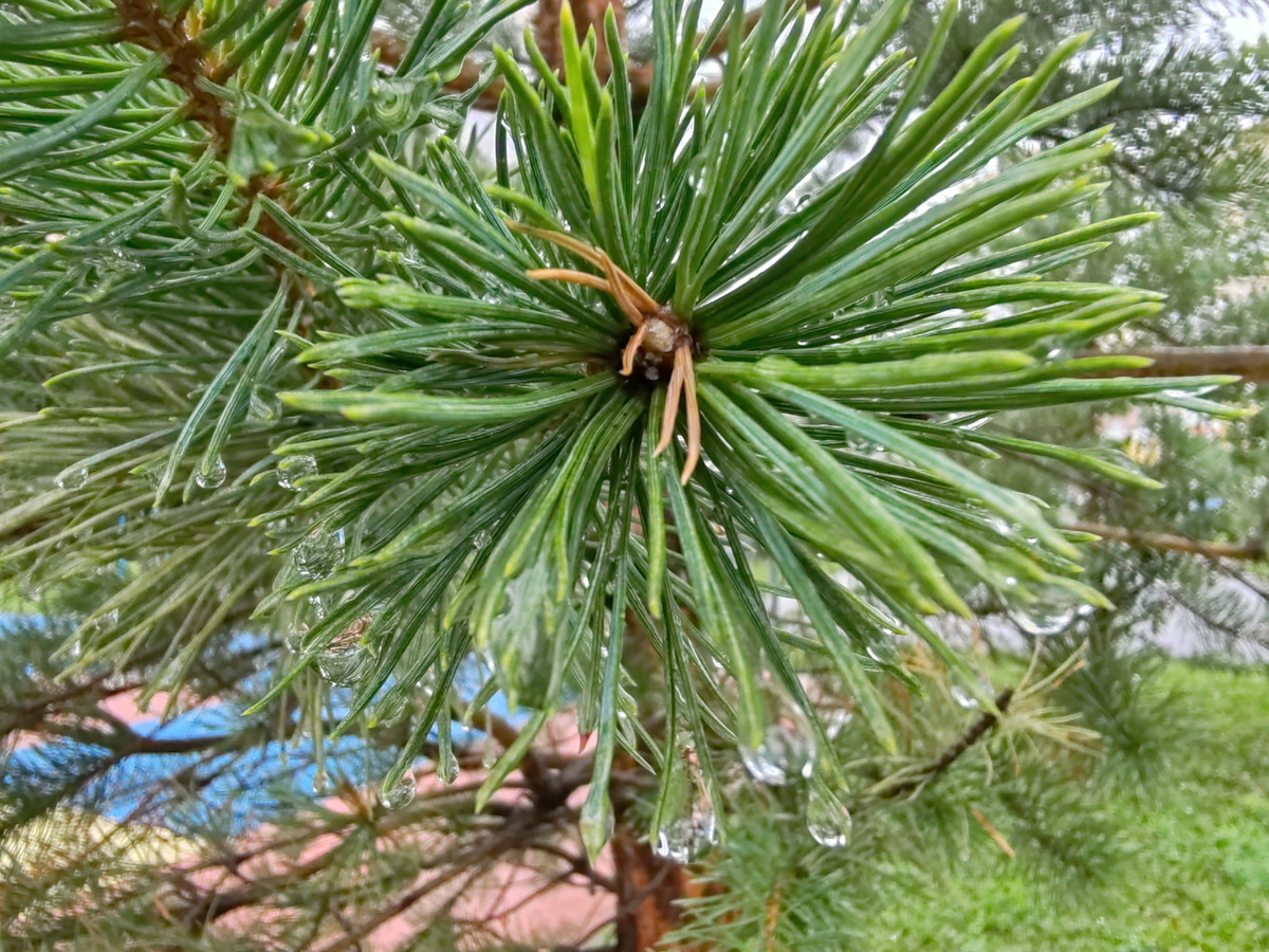 Фото автора канала. 