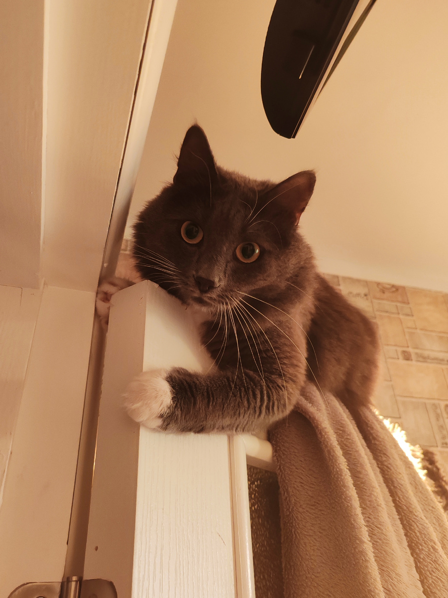 Фото автора канала. 