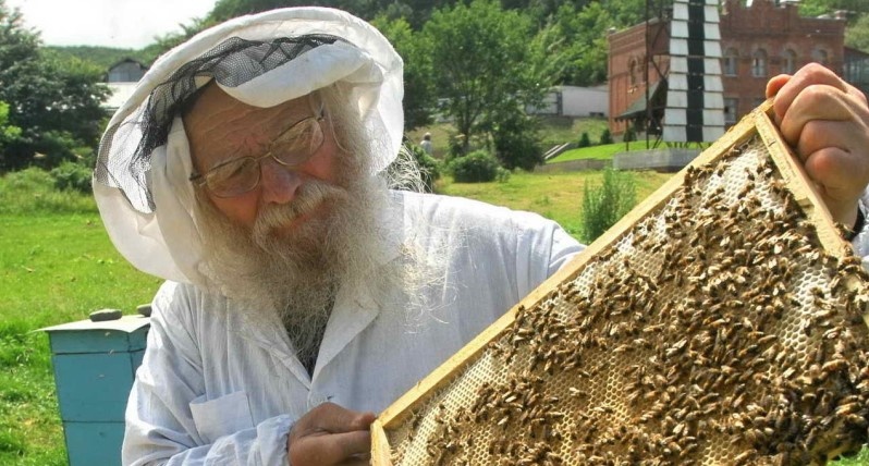 Наш мир - это как улей