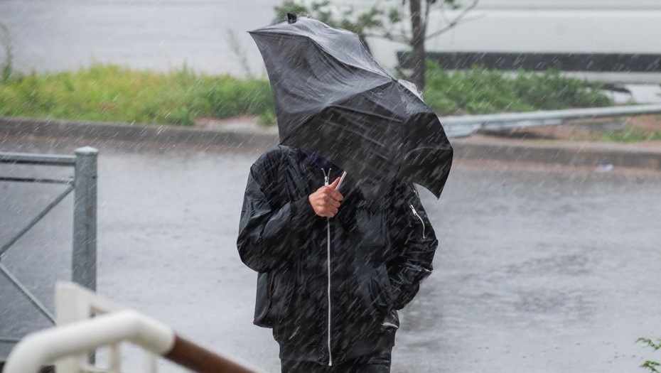    Дождливая погода в Петербурге. Автор фото: Ермохин Сергей
