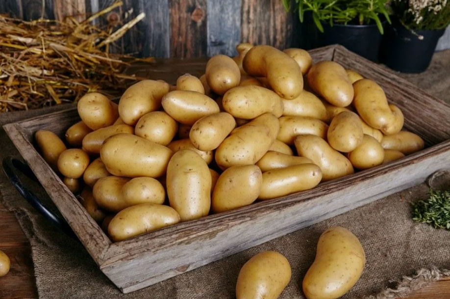 Поделитесь эмоциями через лайк👍👍👍👍👍👍