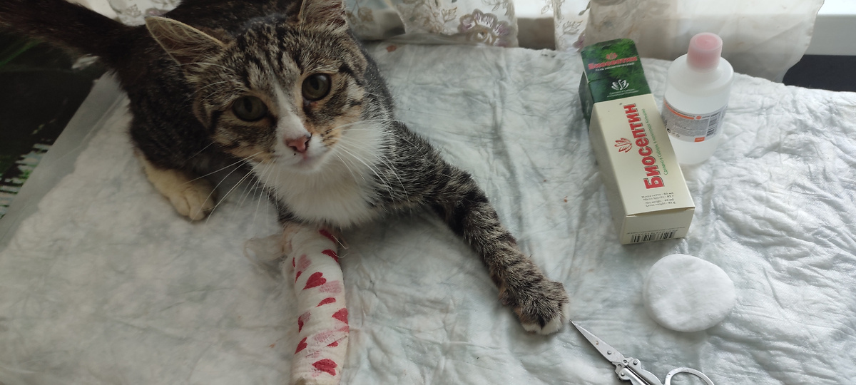 Готовимся к перевязке