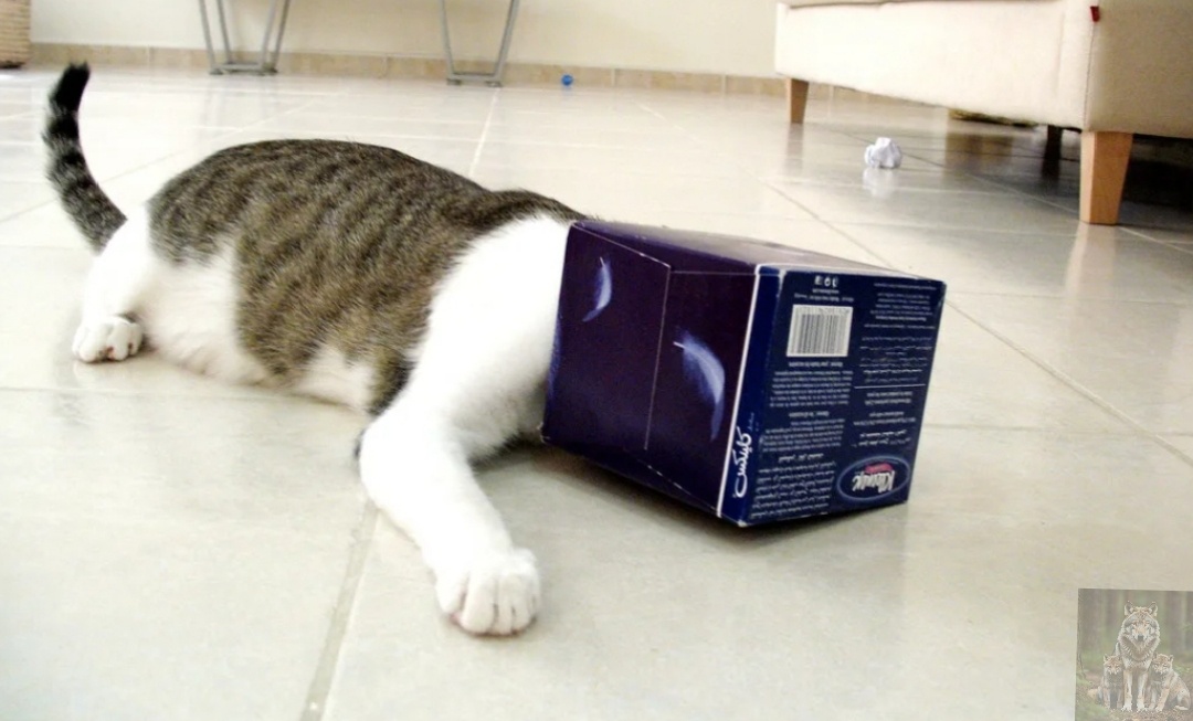 Теперь можно поспать спокойно. Тут меня никто не потревожит