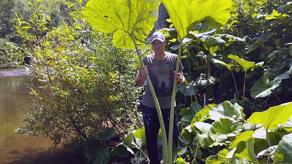 Фото: © Кадр из программы "Загадки человечества", РЕН ТВ