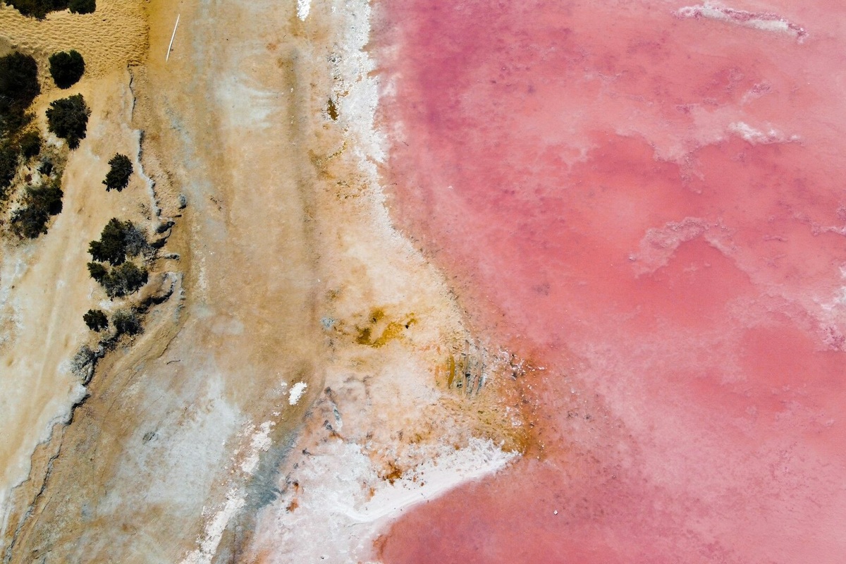     Почему в некоторых озерах вода розового цвета?