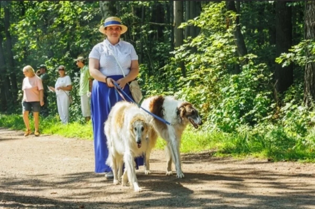    Фестиваль «Охота как искусство» пройдёт в Ясной Поляне