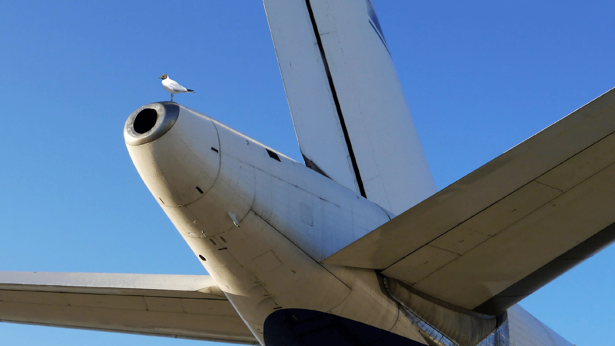 Источник: smart-airport-systems.com