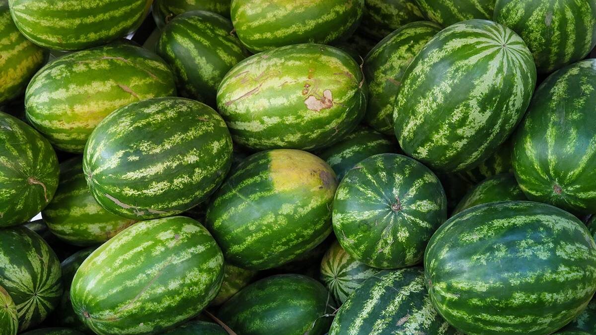    Фото: Василий Кузьмиченок / АГН Москва