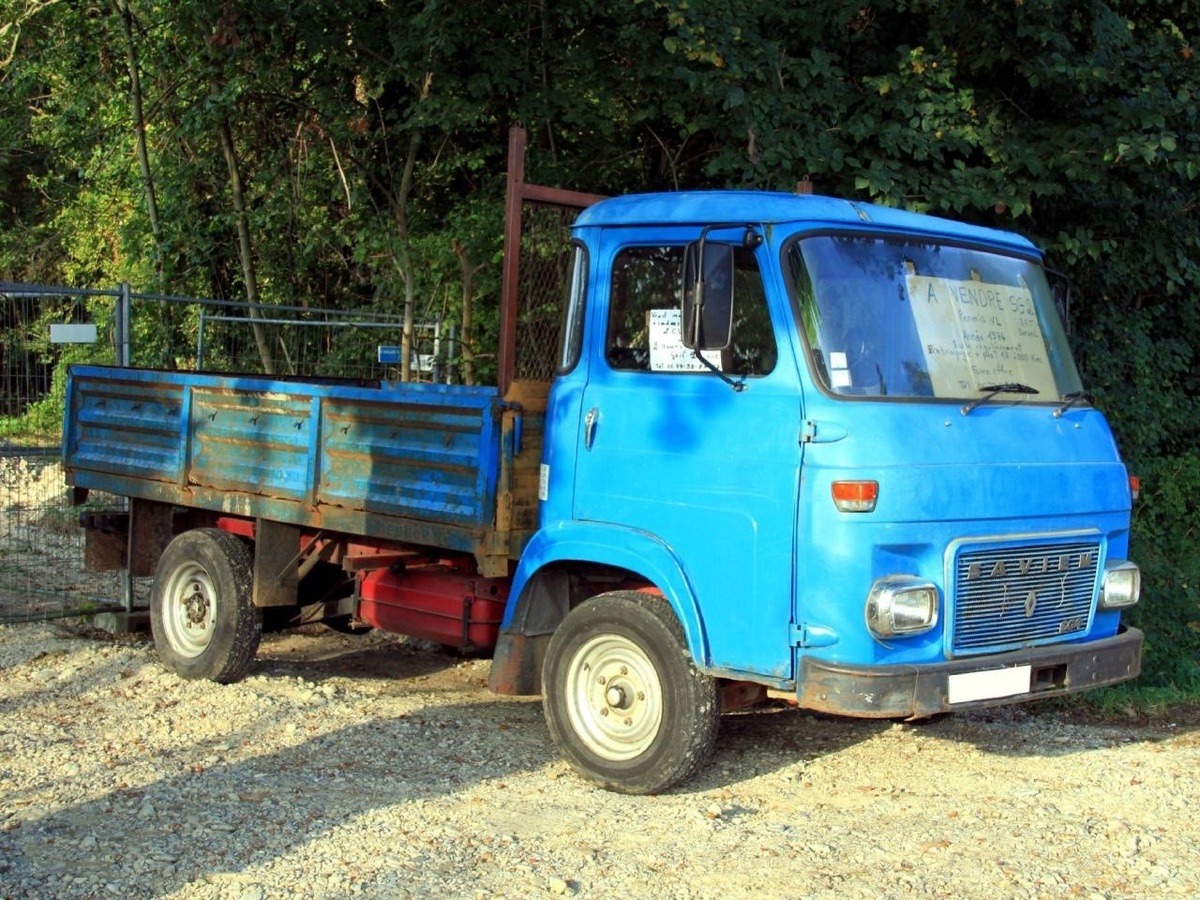 Источник фото: commons.wikimedia.org