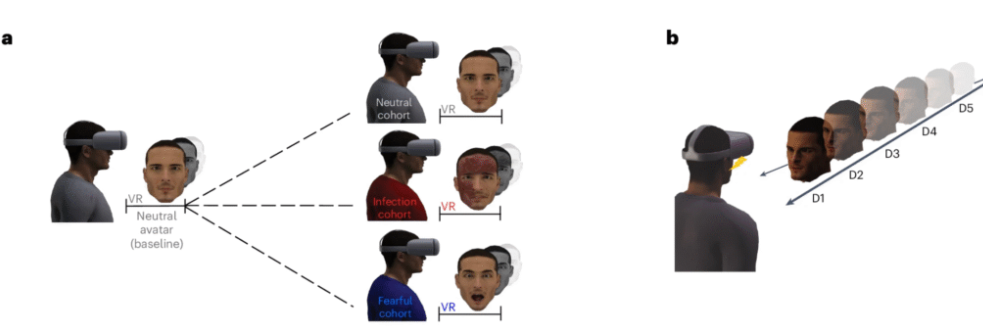а) Участникам сначала показывали нейтральный аватар (базовый), а затем нейтральные, заразные или "пугающие" аватары. б) Аватары показывались на одном из пяти расстояний (D5 = далеко, D1 = близко)