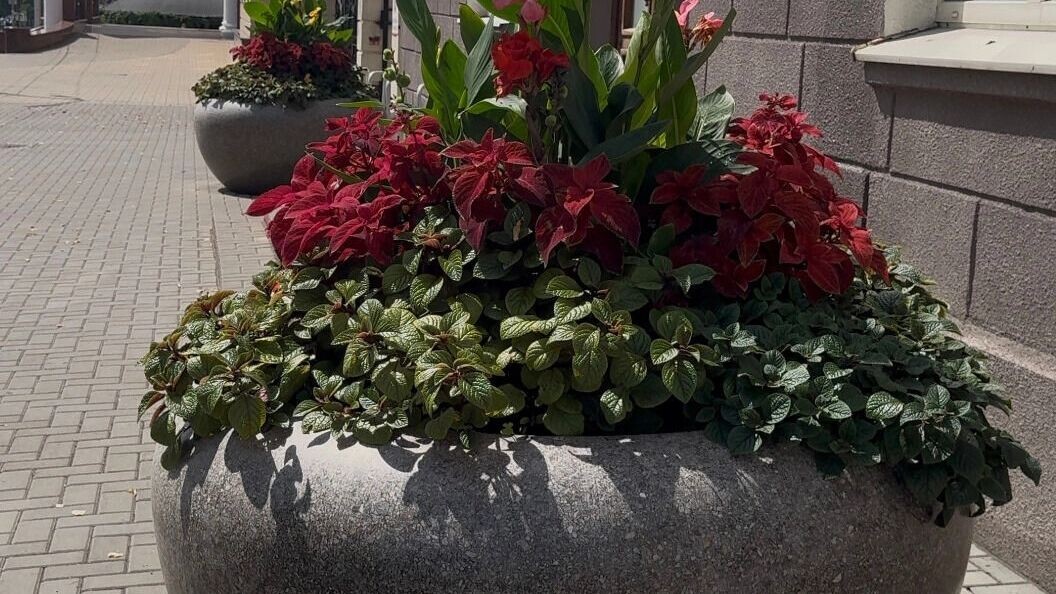     Источник: bel.ru