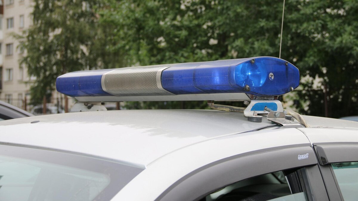    Фото: ГУ Росгвардии по Санкт-Петербургу и Ленинградской области