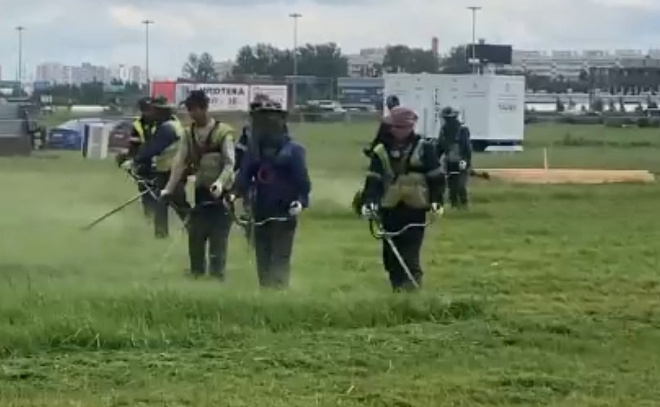    © Всеволожский муниципальный район ЛО