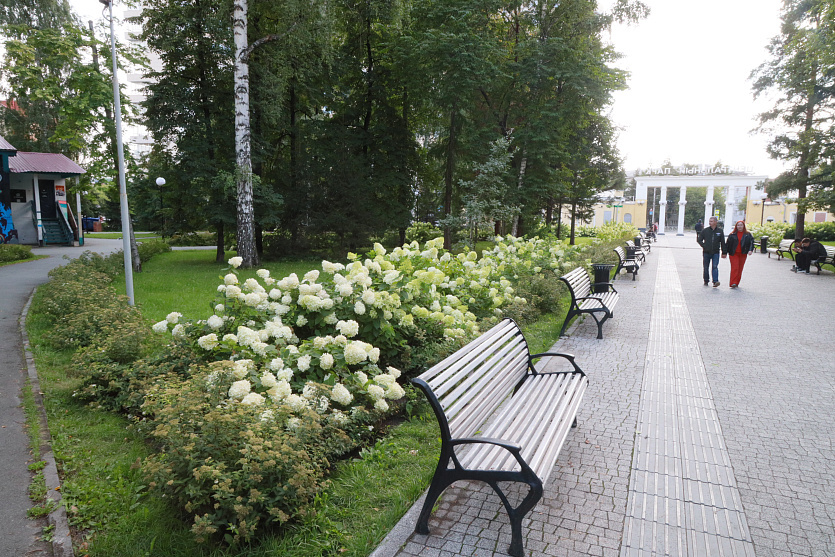 
Фото: Павел Комаров, nsknews.info
